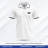 Buy Premium Design Corporate Mens Coffee Polo Tshirt-CP-43 online at Dekora BD – Best price, fast delivery.